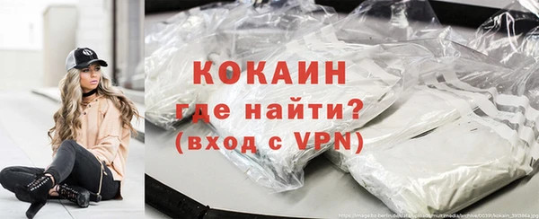 СК Алексин