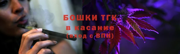 СК Алексин