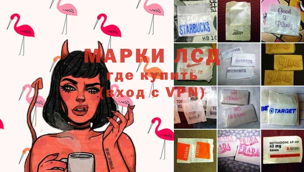 СК Алексин