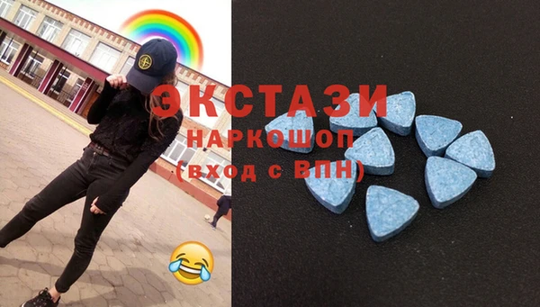 СК Алексин