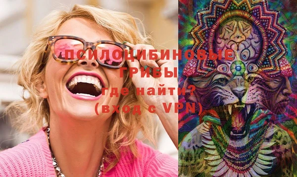 винт Алзамай
