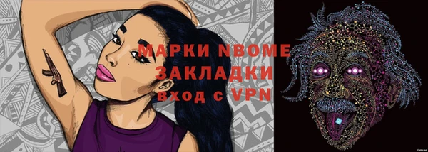 СК Алексин