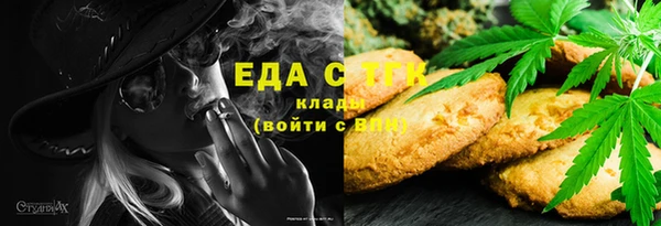 СК Алексин