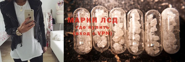 винт Алзамай